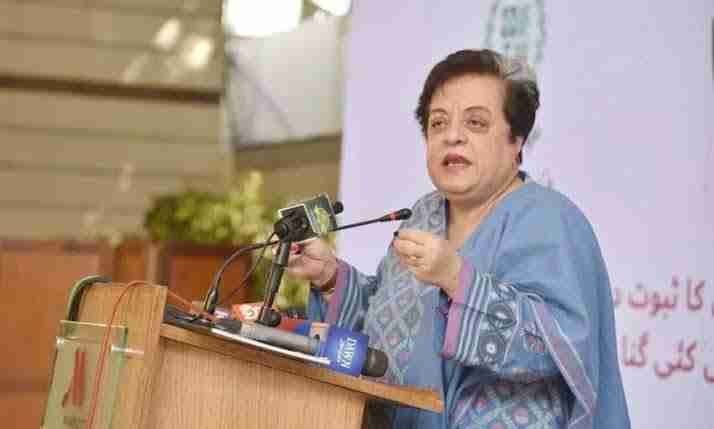 دہشت گردی کی موجودہ لہر امریکا کو اڈے دینے کی کوشش ہے، شیریں مزاری