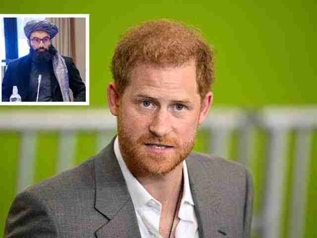 مسٹر ہیری! آپ نے شطرنج کے مہرے نہیں، جیتے جاگتے انسانوں کو مارا، طالبان