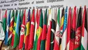 صیہونی آبادکاری عالمی قوانین کی سنگین خلاف ورزی ہے، او آئی سی