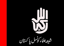محرم سے قبل پنجاب کو پولیس اسٹیٹ بنایا جا رہا ہے، شیعہ علماء کونسل