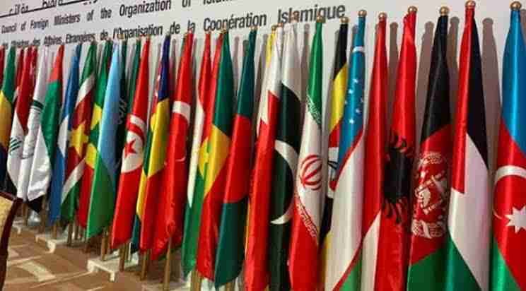 توہین قرآن ، مسلم وزرائے خارجہ کا ہنگامی ورچوئل اجلاس طلب