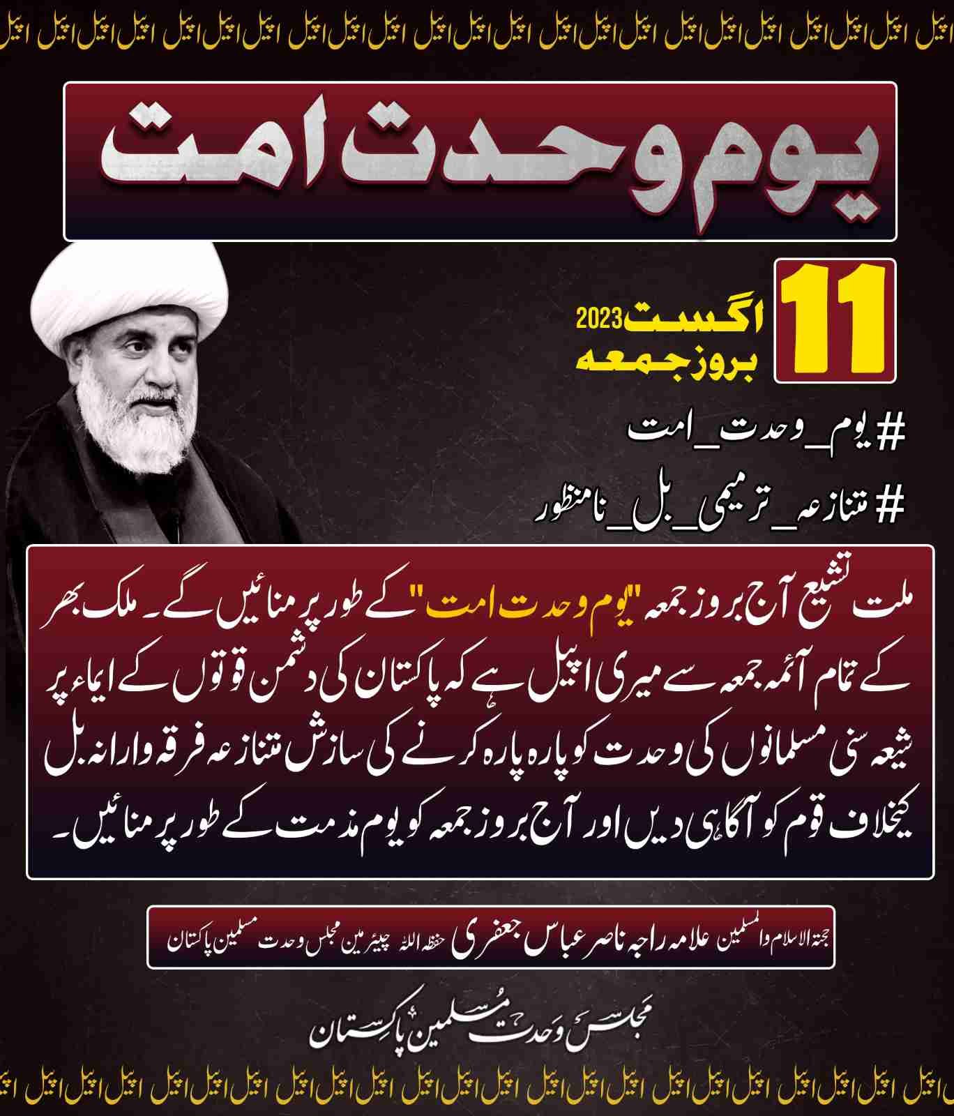علامہ راجہ ناصر عباس جعفری کی متنازعہ بل کیخلاف آج یوم وحدت امت منانے کی اپیل