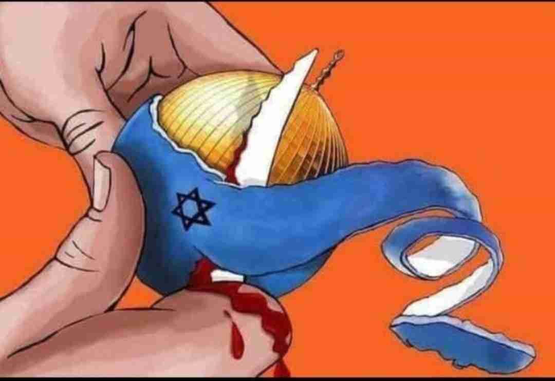 فلسطینیوں کا ہدف آزادی نہیں، اسرائیل کا خاتمہ ہے