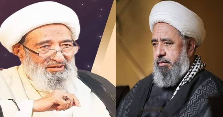 شیخ محسن نجفی کی رحلت قوم اور حوزہ ہائے علمیہ کے لئے ناقابل تلافی نقصان ہے، علامہ امین شہیدی