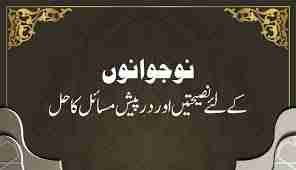 نوجوانی کا دور (حصہ اول)*