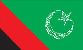 پی ٹی آئی کی ممکنہ اتحادی مجلس وحدت مسلمین این اے 37 سے کامیاب