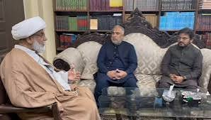 علامہ راجہ ناصر عباس سے پی ٹی آئی وفد کی ملاقات