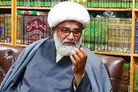 کسی بیرونی طاقت کو پاکستان کے اندرونی معاملات میں مداخلت کا حق نہیں، علامہ راجہ ناصر عباس