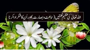 خدا نے جو ہمیں نعمات عطا کی ہیں ان کا شکر کیسے ادا کیا جا سکتا ہے؟
