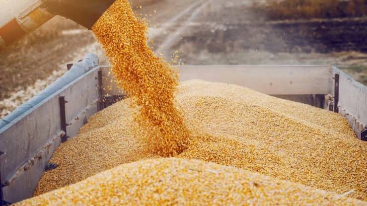اناج پر ڈیوٹی لگانے کا یورپی منصوبہ عالمی غذائی تحفظ کو مزید خراب کر دے گا، روس
