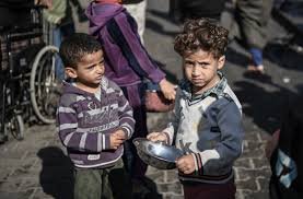 غزہ میں یومیہ سینکڑوں افراد بھوک سے مر سکتے ہیں، عالمی ادارہ صحت