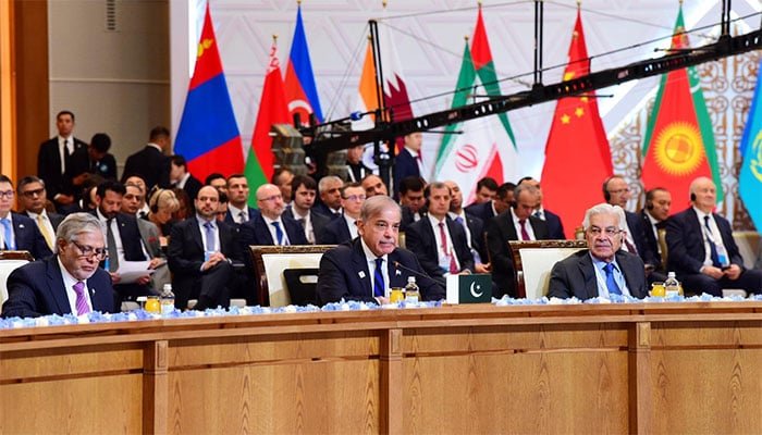 پاکستان کا فلسطین میں فوری طور پر غیر مشروط جنگ بندی کا مطالبہ