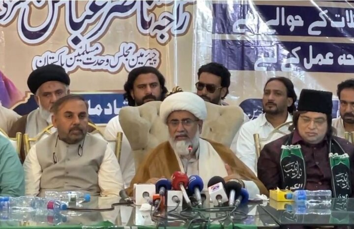 امریکا پاکستان کو غیرمستحکم رکھنا چاہتا ہے، سینٹرعلامہ راجہ ناصر عباس