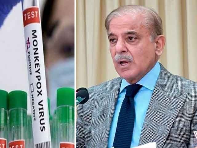 وزیراعظم کا ہوائی اڈوں، بندرگاہوں اور سرحدوں پر منکی پاکس کی اسکریننگ سخت کرنے کا حکم