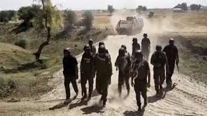 رحیم یار خان: کچے کے علاقے میں ڈاکوؤں کا پولیس ٹیم پر حملہ، 12 اہلکار شہید