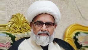 ریاست اقلیتوں کے تحفظ میں ناکام رہی ہے، علامہ راجا ناصر عباس