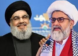 حسن نصر اللہ کی شہادت مقاومت کی پائیداری اور اسرائیل کی نابودی کا باعث بنے گی، سینیٹر علامہ راجہ ناصر