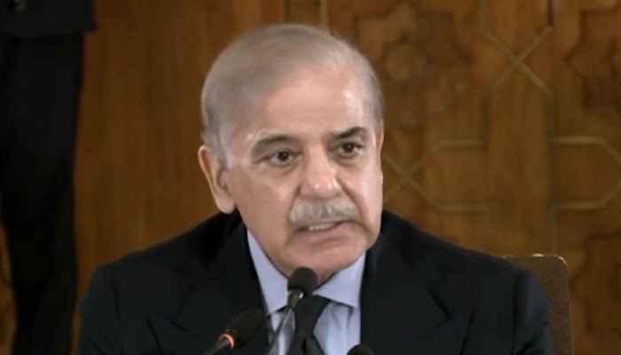 فلسطین کے مسئلہ پر دنیا بھر میں وفود بھیجیں گے، وزیراعظم