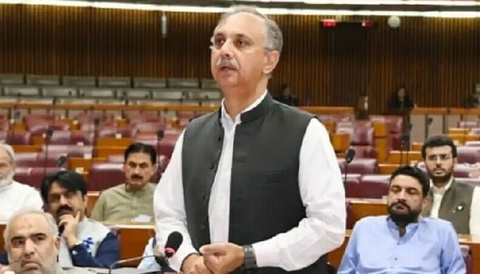 آئینی ترمیم پاکستانی عوام کی نمائندگی نہیں کرتی، یہ ترمیم آزاد عدلیہ کا گلہ گھونٹنے کا عمل ہے، عمر ایوب