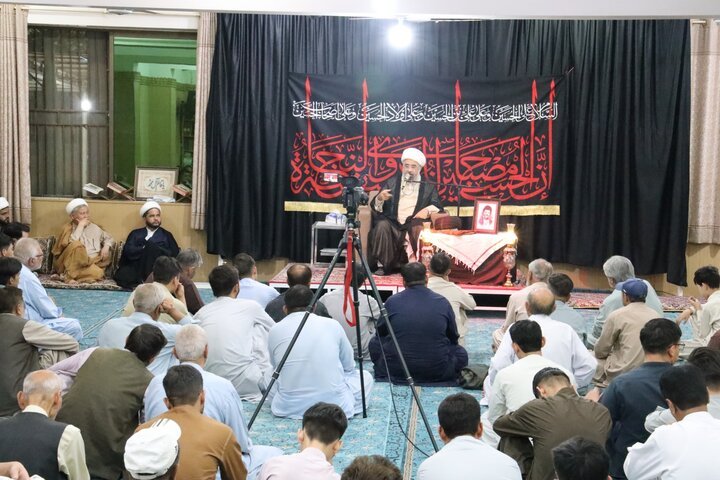 حسن نصر اللہ نے مقاومتی محاذ کو ایک نئی جہت دی، علامہ امین شہیدی