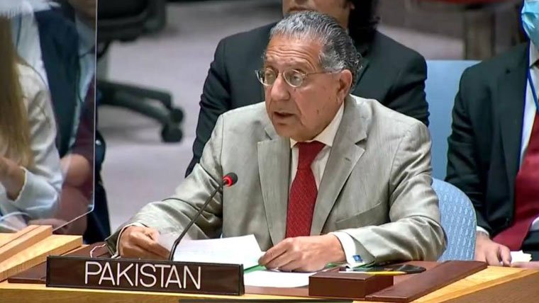 پاکستان نے سلامتی کونسل میں نئی مستقل نشستوں کی مخالفت کر دی
