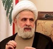 امریکا کے انتخابی نتائج کا کسی ممکنہ جنگی معاہدے پر کوئی اثر نہیں پڑے گا، شیخ نعیم قاسم