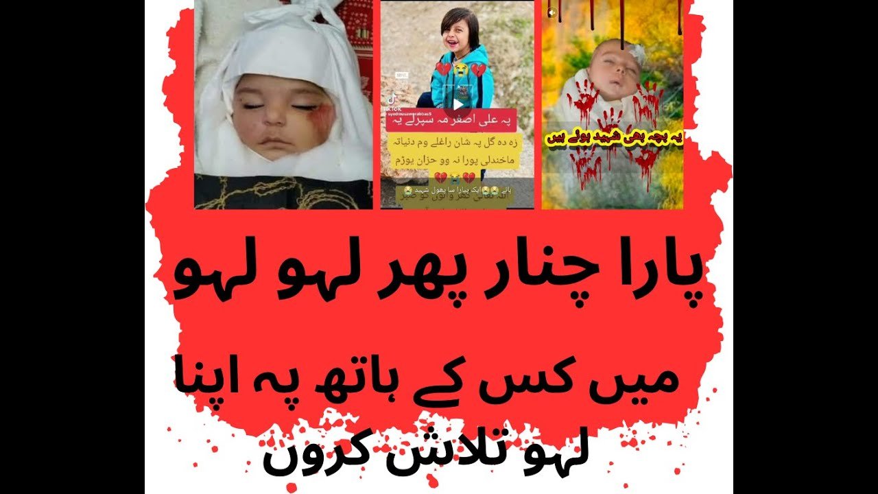 کوئٹہ میں سانحہ پاراچنار کیخلاف احتجاجی ریلی
