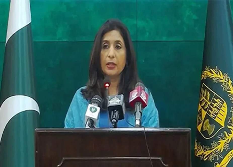 چینی شہریوں اور اداروں کا ہر قیمت پر تحفظ کرینگے، پاکستان