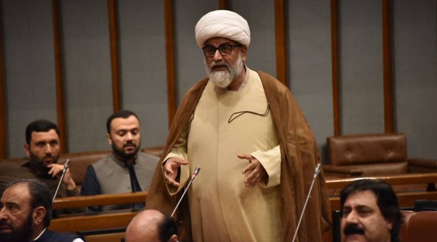 فوری طور پر پاراچنار کے راستے کھولے جائیں، علامہ راجہ ناصر کا سینیٹ میں خطاب