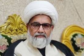 مظلوموں کی حمایت میں ڈٹ جانے والے کبھی کمزور نہیں ہوتے، سینیٹر علامہ راجہ ناصر