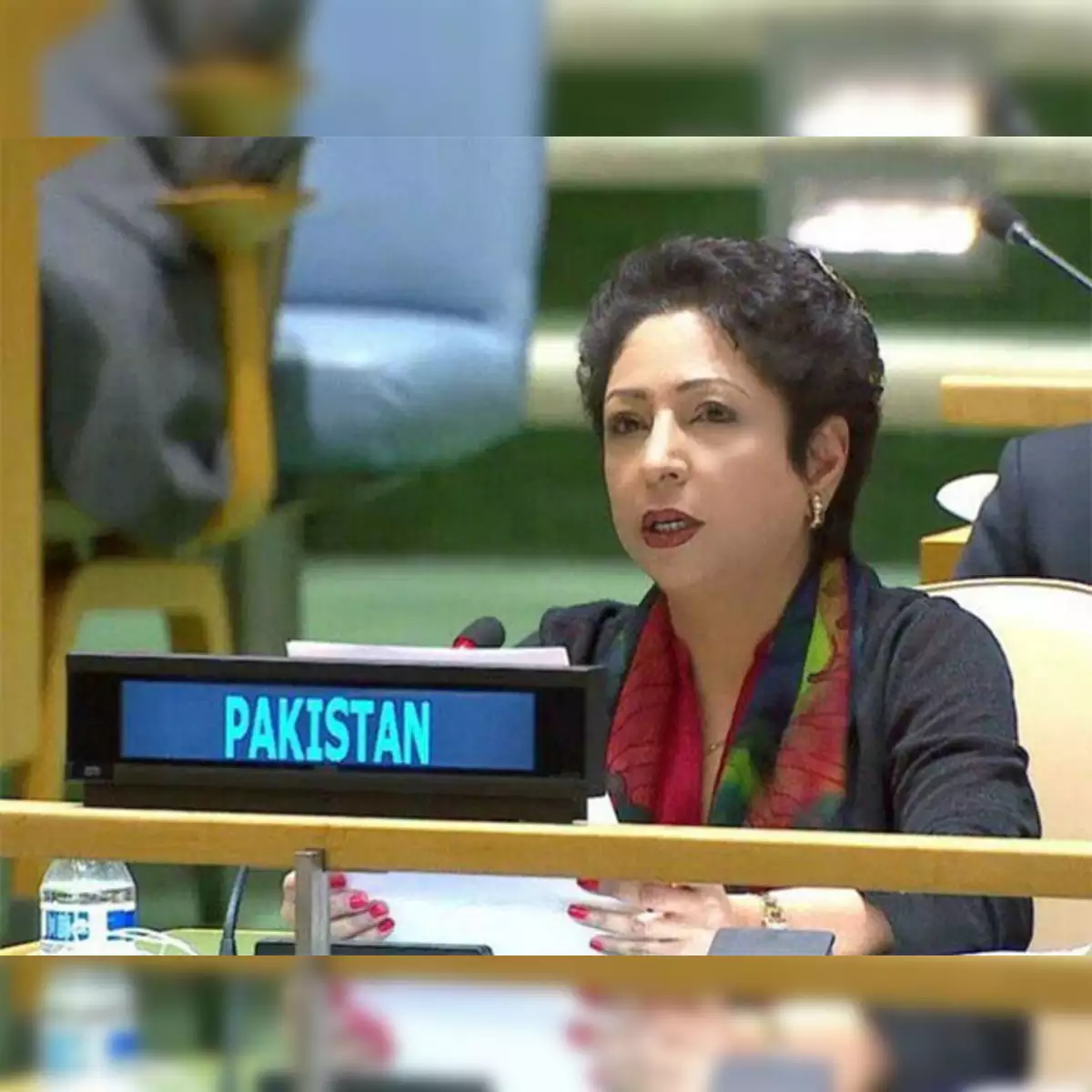 ٹرمپ کا غزہ سے متعلق بیان، پاکستانی وزارت خارجہ کا ردعمل نہ آنا حیران کن ہے: ملیحہ لودھی