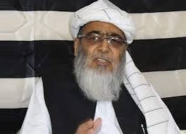 حکمرانوں نے ملک کو امریکا کے حوالے کر دیا ہے، حافظ حسین احمد