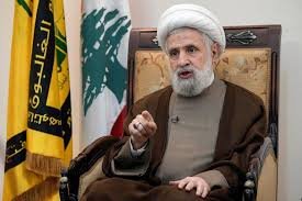 ایران جارحیت کے خلاف فاتح بن کر ابھرے گا، شیخ نعیم قاسم
