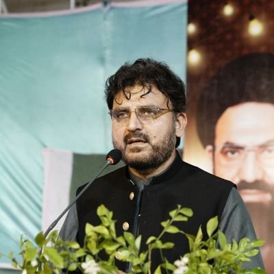 عمران خان نے ایم ڈبلیو ایم کے پلیٹ فارم سے الیکشن لڑنے کا فیصلہ کیا تھا، ناصر شیرازی