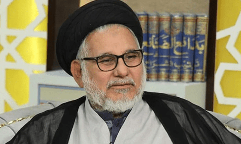اسرائیل کے حامیوں کی پاک سر زمین پر کوئی جگہ نہیں، علامہ حسن ظفر نقوی