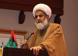 فلسطینی خون کی سوداگری قبول نہیں کی جائے گی، سینیٹر علامہ راجہ ناصر عباس