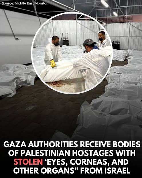 اسرائیل نے فلسطینیوں کی لاشوں سے اعضا چرالئے