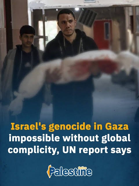 فلسطینیوں کی نسل کشی کے جرم میں 60 ممالک ملوث ہیں، اقوام متحدہ