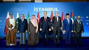 استنبول کانفرنس، غزہ سے اسرائیلی فوج کے انخلا کا مطالبہ