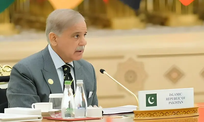 دہشت گردی کا نیا خطرہ افغانستان سے سر اٹھا رہا ہے، پاکستان
