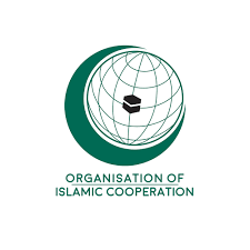 انسانی حقوق کی صورتحال پر اقوام متحدہ کی رپورٹ کا خیر مقدم