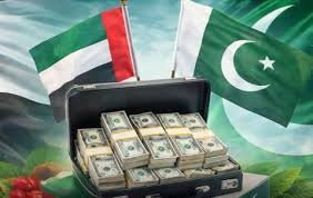 پاکستان نے متحدہ عرب امارات کے تمام ڈپازٹ بروقت واپس کر دیئے
