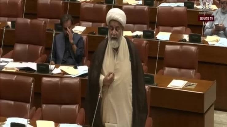 عرب امارات سے پاکستانیوں کی بے دخلی کیخلاف سینیٹ میں قرارداد پیش