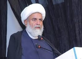 گلگت بلتستان الیکشن میں عوام کے حق رائے دہی پر ڈاکا ڈالا گیا، سینیٹر علامہ ناصر عباس جعفری