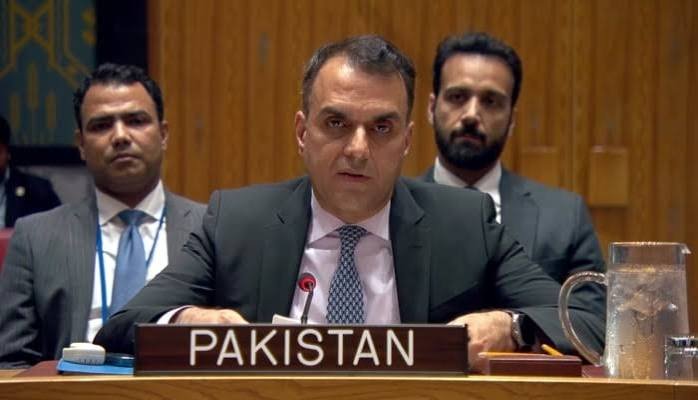 پاکستان کی سعودی عرب پر حوثیوں کے بیلسٹک میزائل حملوں کی مذمت