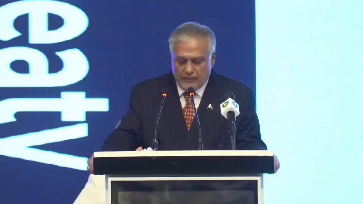 عالمی معاہدے کو سبوتاژ کرنیکی بھاری قیمت ہوگی، اسحاق ڈار کا انڈیا کو انتباہ
