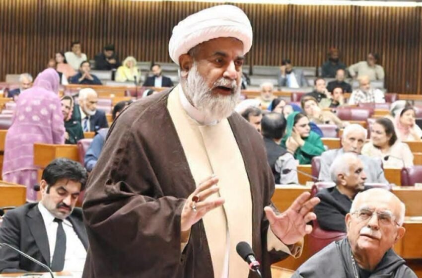 بہت سے لوگ چاہتے تھے کہ بانی کی بہنیں خاموش رہیں، سینیٹر علامہ راجہ ناصر عباس