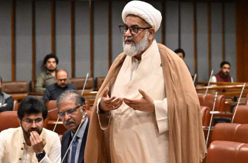 ملک میں لاقانونیت ہے، بنیادی انسانی حقوق معطل ہیں، سینیٹر علامہ راجہ ناصر عباس